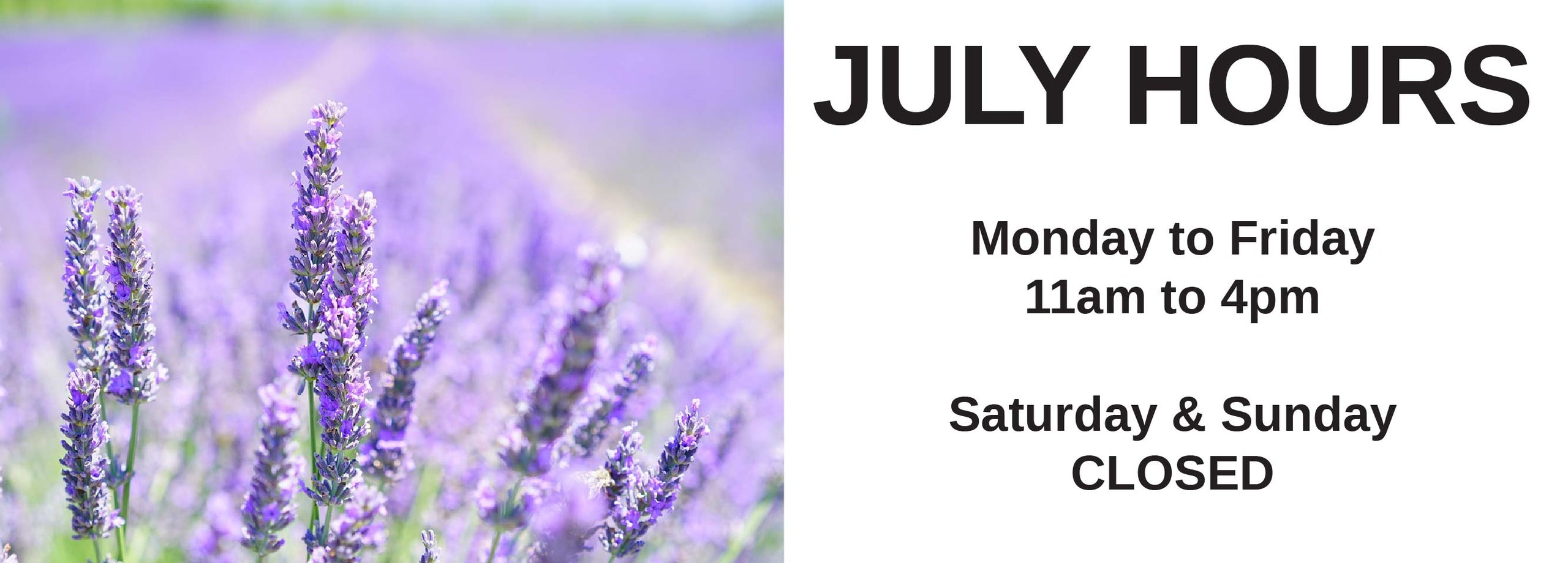 Ontario Dancewear, Mississauga, Shoes, Clothes, Accessories Mirena's