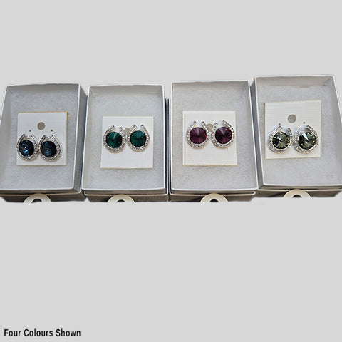YUNIE HORSE SHOE W/STONE PIERCED EARRINGS - #E120397M